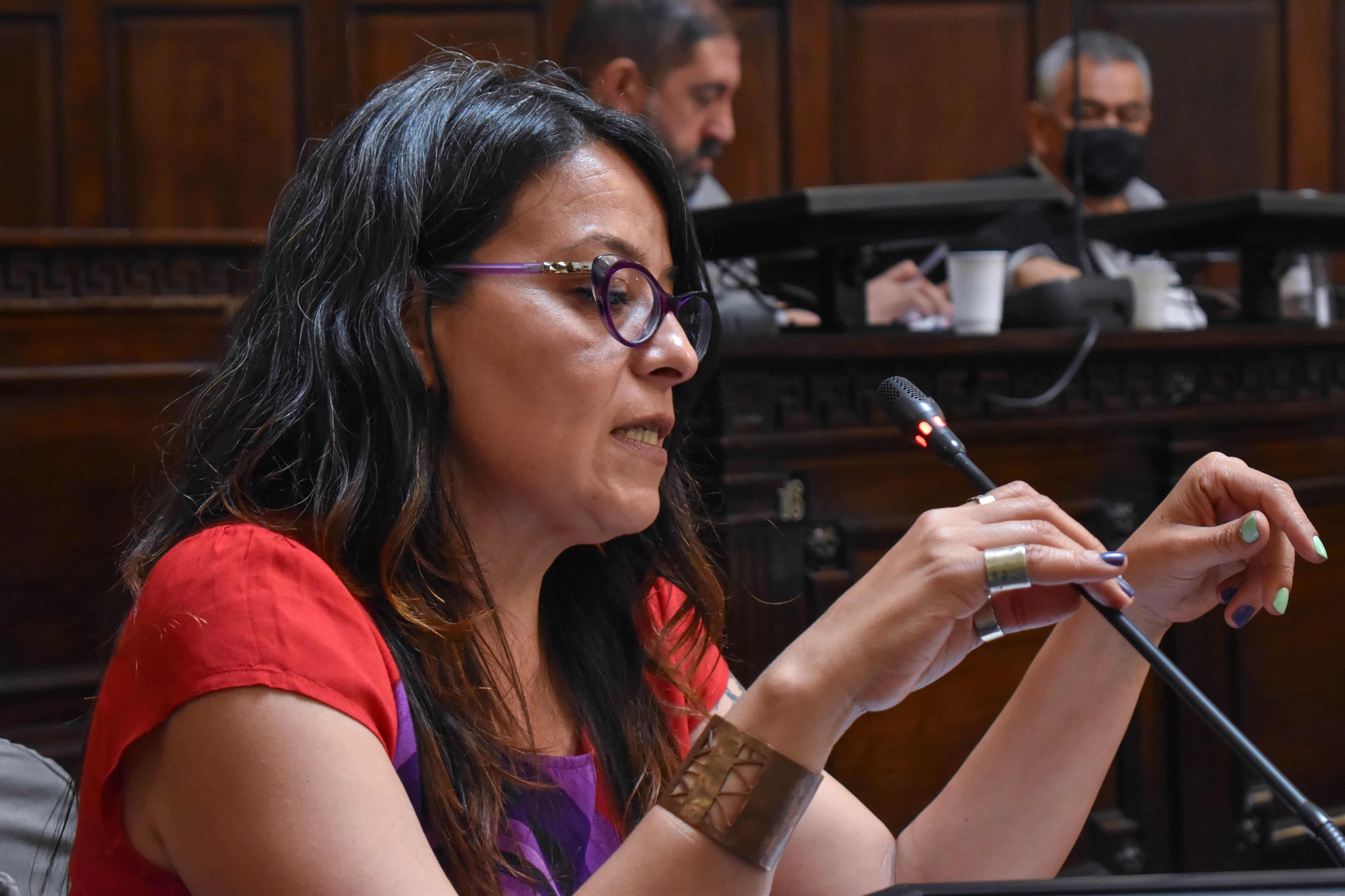 En Cámara: Un proyecto para que Mendoza adhiera a la Ley de “cupo laboral trans”