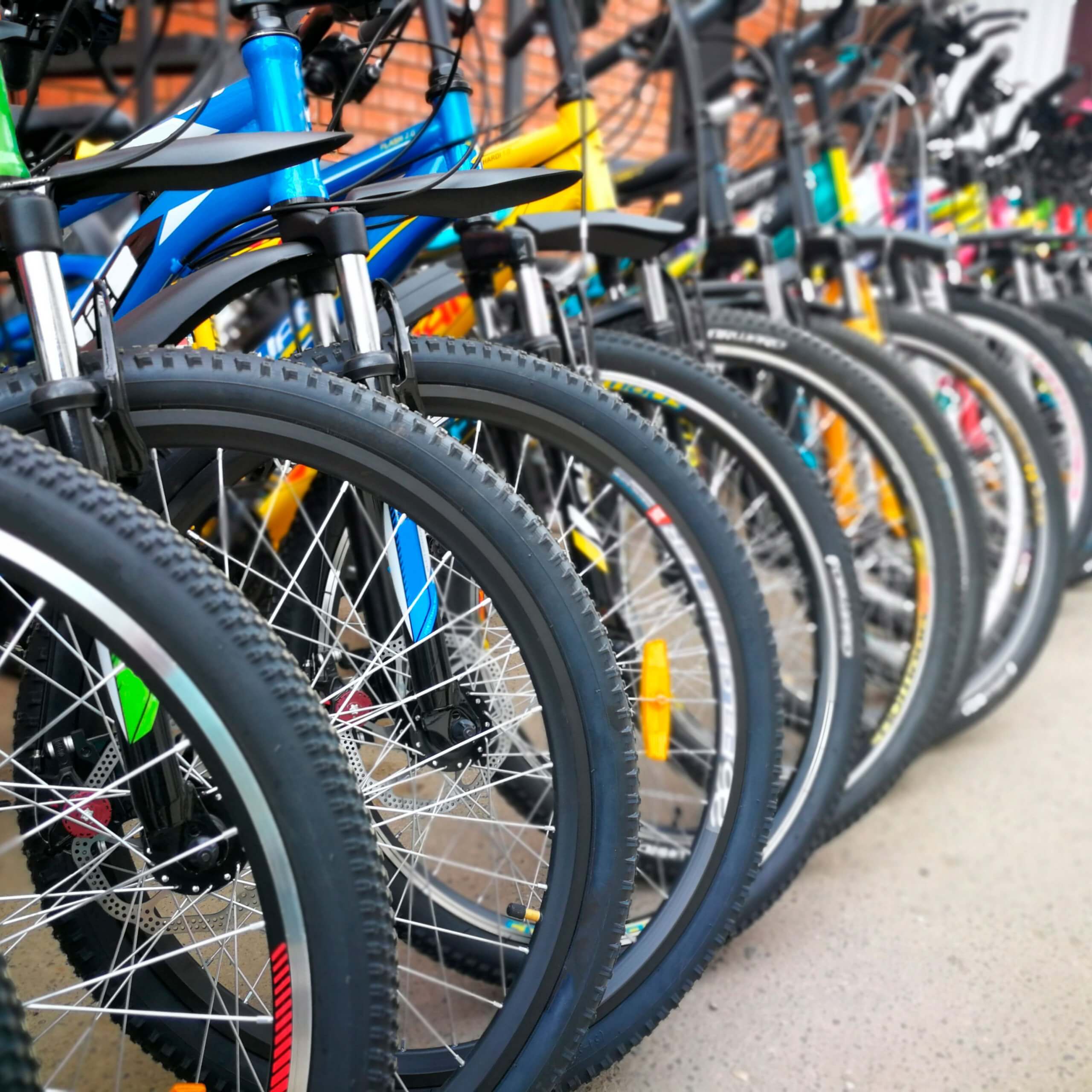 En Cámara: Proyecto “Mi Bici” para promover la movilidad sustentable