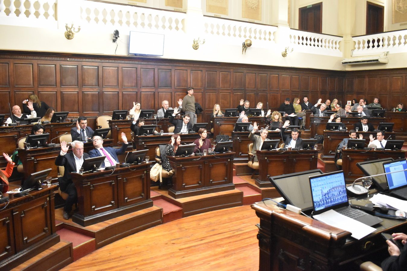 Sesión del 30 de julio 2025 – Proyectos de Resolución y Declaración
